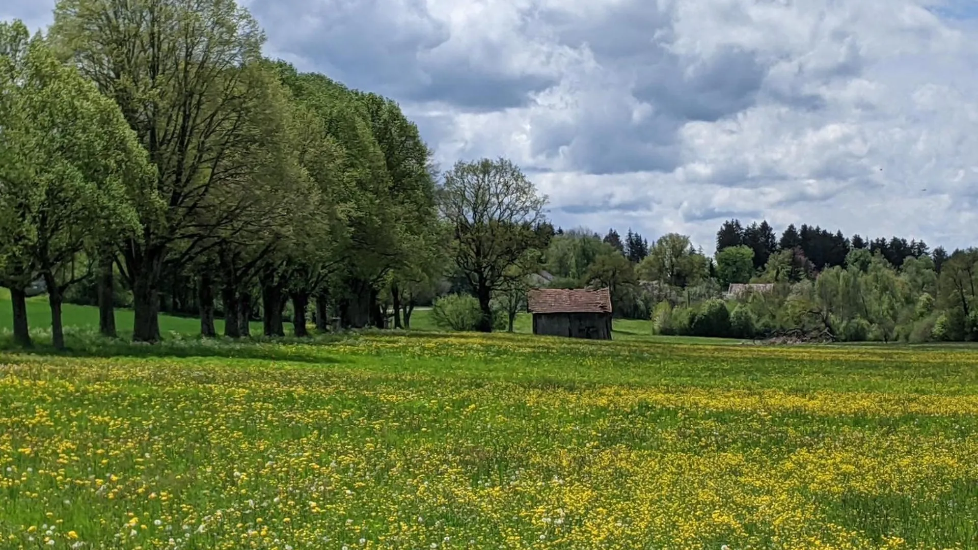 Hotel Germania Bad Worishofen